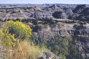 Theodore_Roosevelt_National_Park