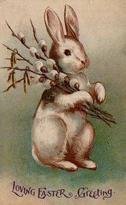 Easter_Bunny_Postcard_1907