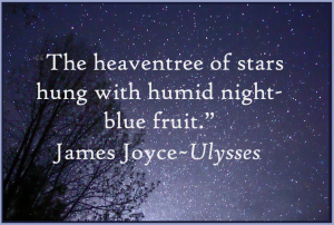 800px-Night_Sky_Stars_Trees_Quote