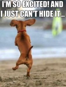 puppy happy dance via pinterest