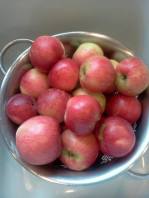 Apples 8-25-2013