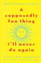 A-supposedly-fun-thing-first-edition-cover