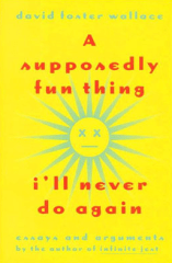 A-supposedly-fun-thing-first-edition-cover