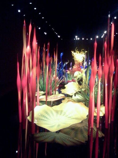 Garden_of_Glass_Photo_1© 2013 CJJasp