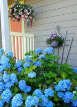 Orange_Door_with_Hydrangeas_©_Connie_Jasperson_2019