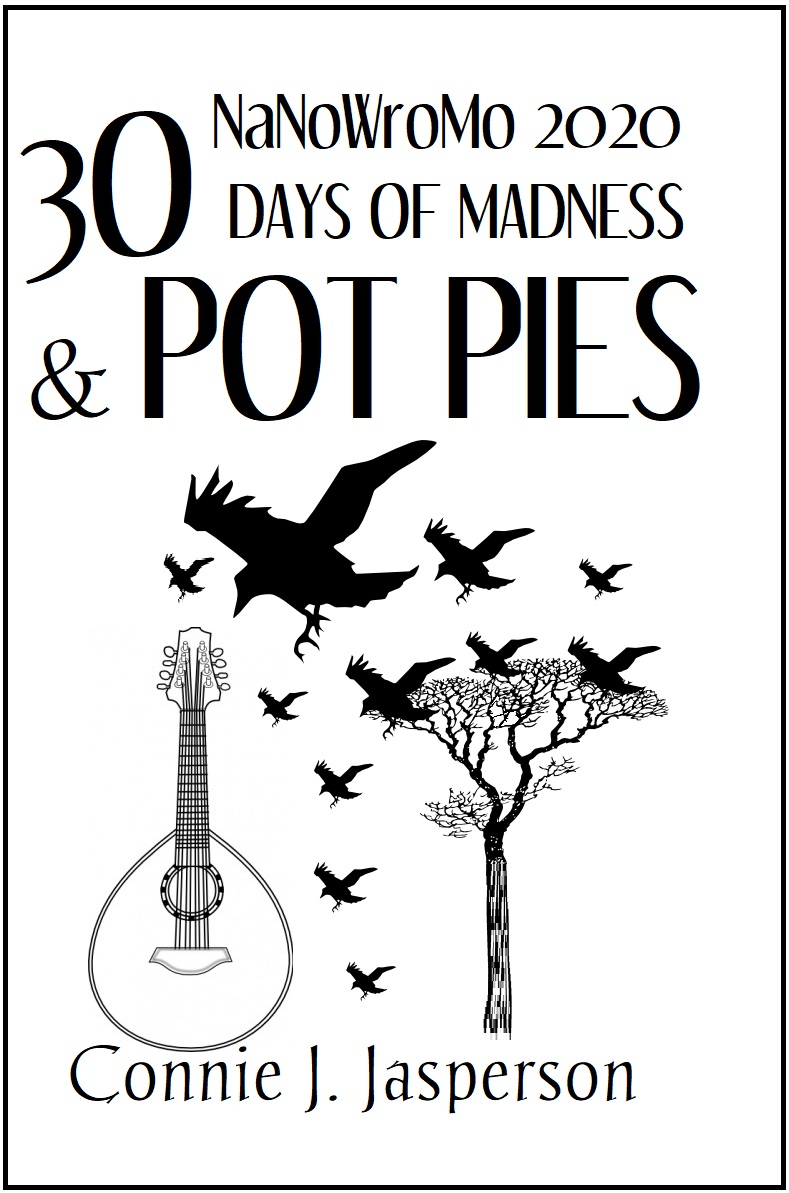 2020_nano_Project_cover