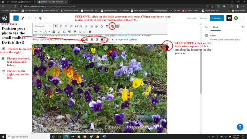 freerange daisies and image toolbar