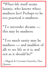 where-madness-lies-miguel-de-cervantes