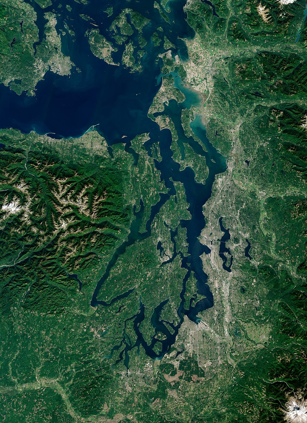 1024px-Puget_Sound_by_Sentinel-2,_2018-09-28_(small_version)