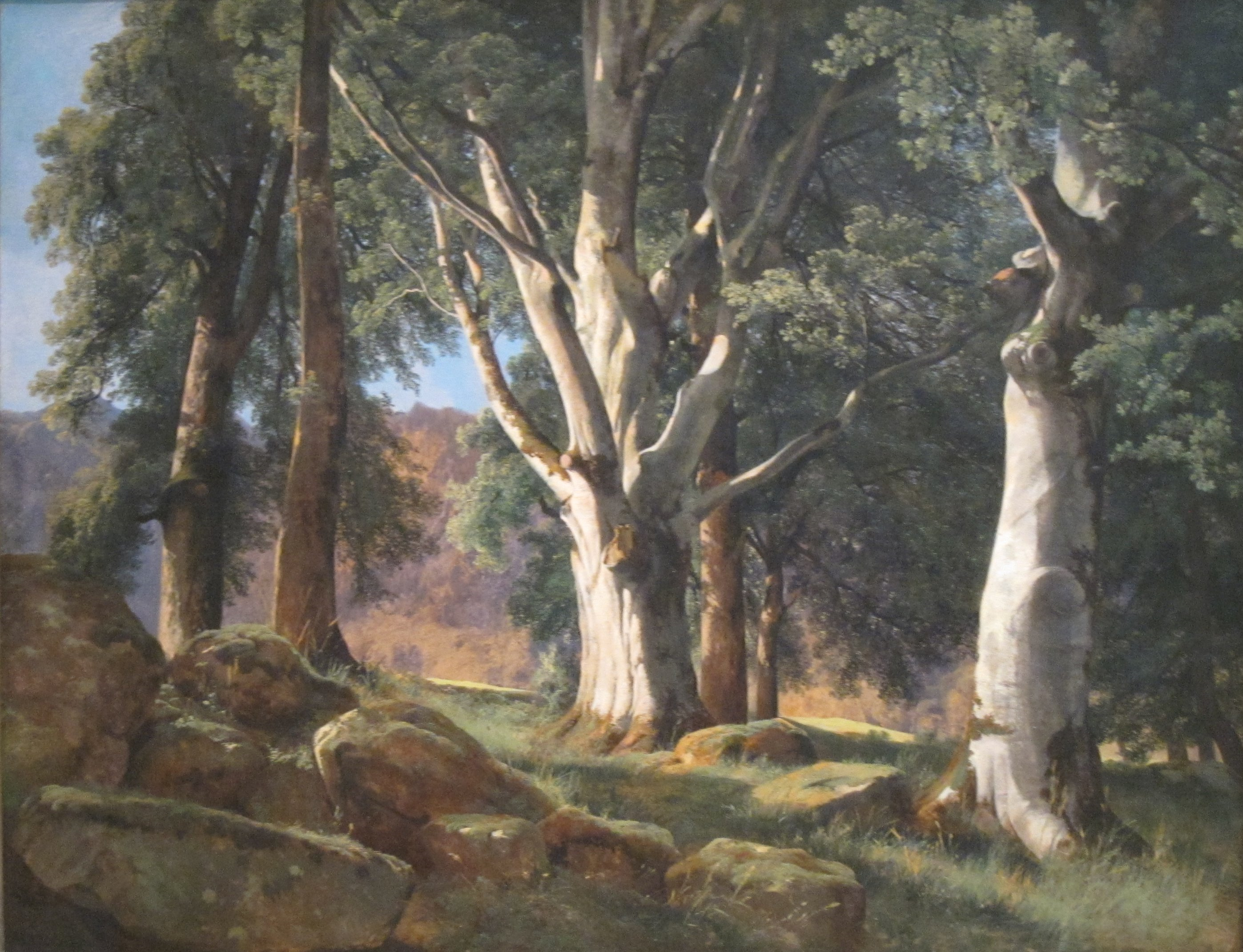 1175px-'The_Sycamores'_by_Alexandre_Calame,_Cincinnati_Art_Museum
