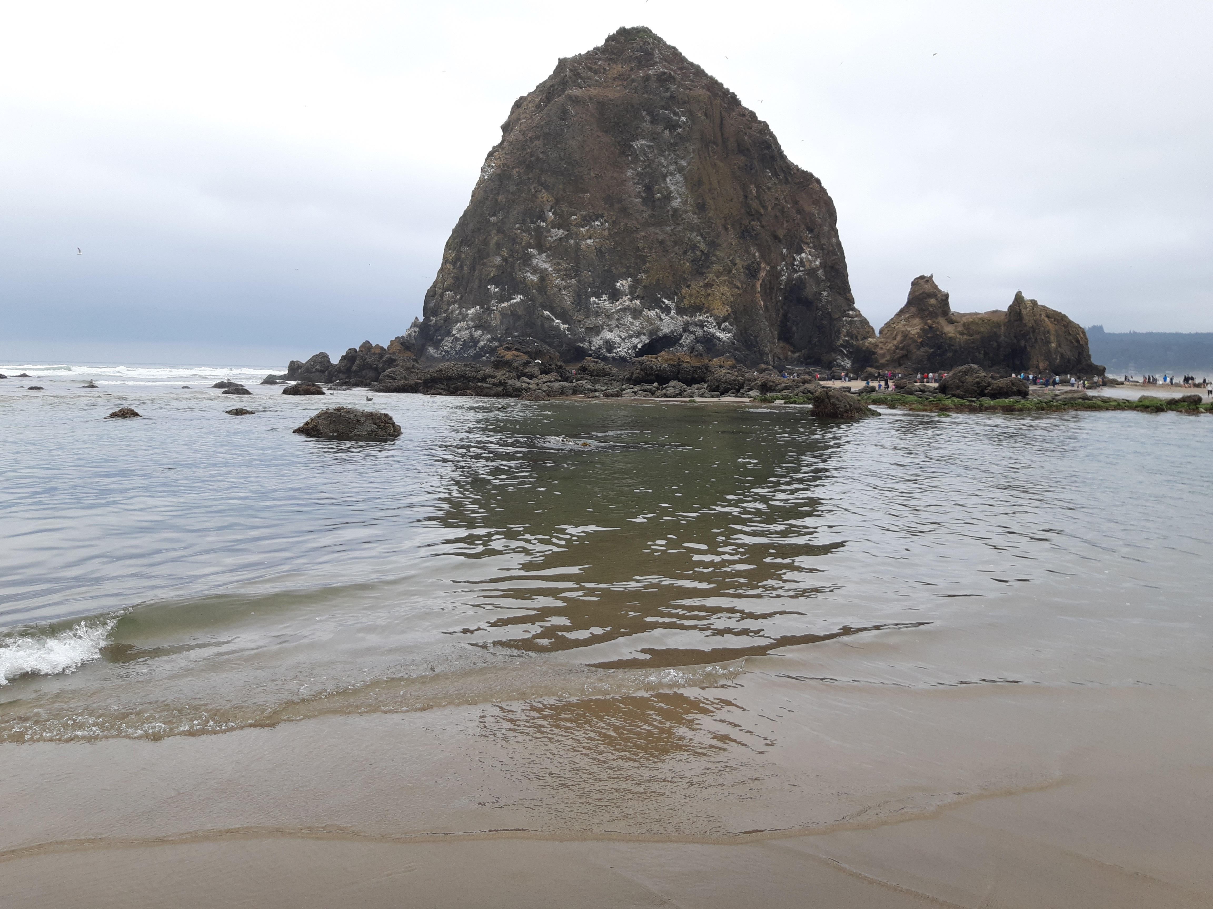 Haystack_Rock_11AM_05_August_2019