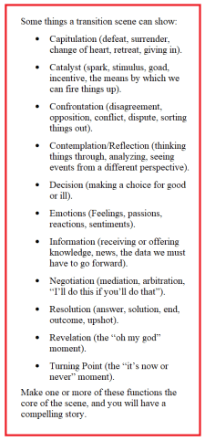 what_transition_scenes_can_show_LIRF023252023