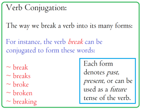 Verb Conjugation