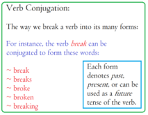 Verb Conjugation