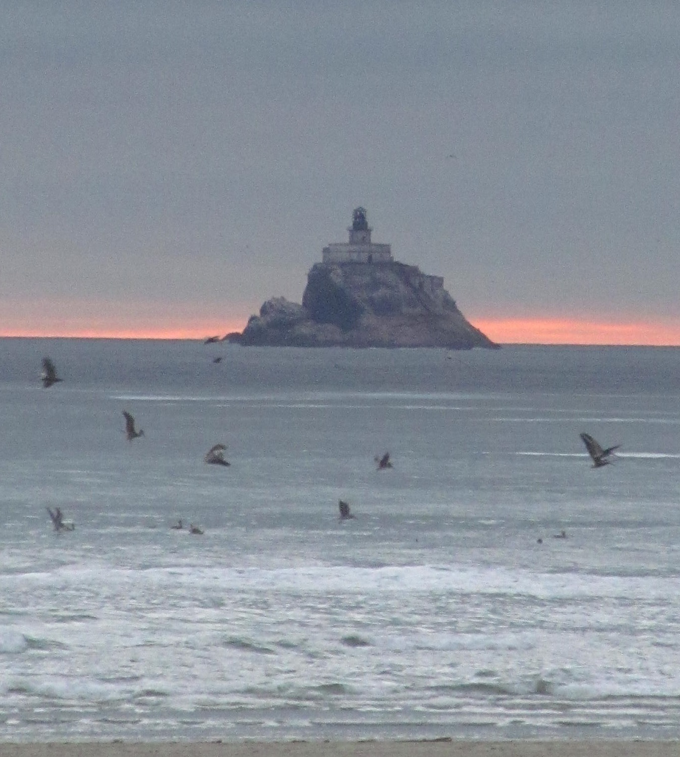 Terrible Tilly August 2022