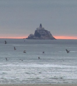 Terrible Tilly August 2022