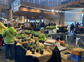 Olympia_Farmers_Market_04