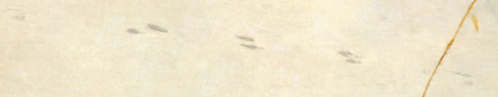 detai_rabbit_tracks_hunters_in_the_snow_Brueghel